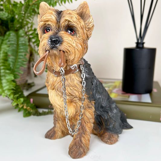 Yorkshire-Terrier-Hund mit Bleiverzierung