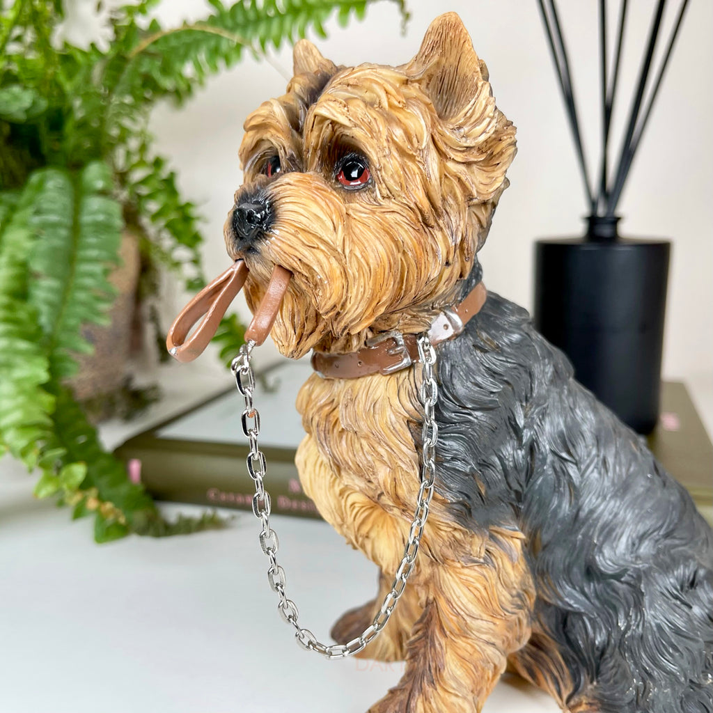 Yorkshire-Terrier-Hund mit Bleiverzierung