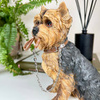 Yorkshire-Terrier-Hund mit Bleiverzierung