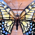 Gold 3D Metal Butterfly Wall Art