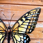 Gold 3D Metal Butterfly Wall Art