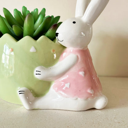 Easter Rabbit Succulent Pot