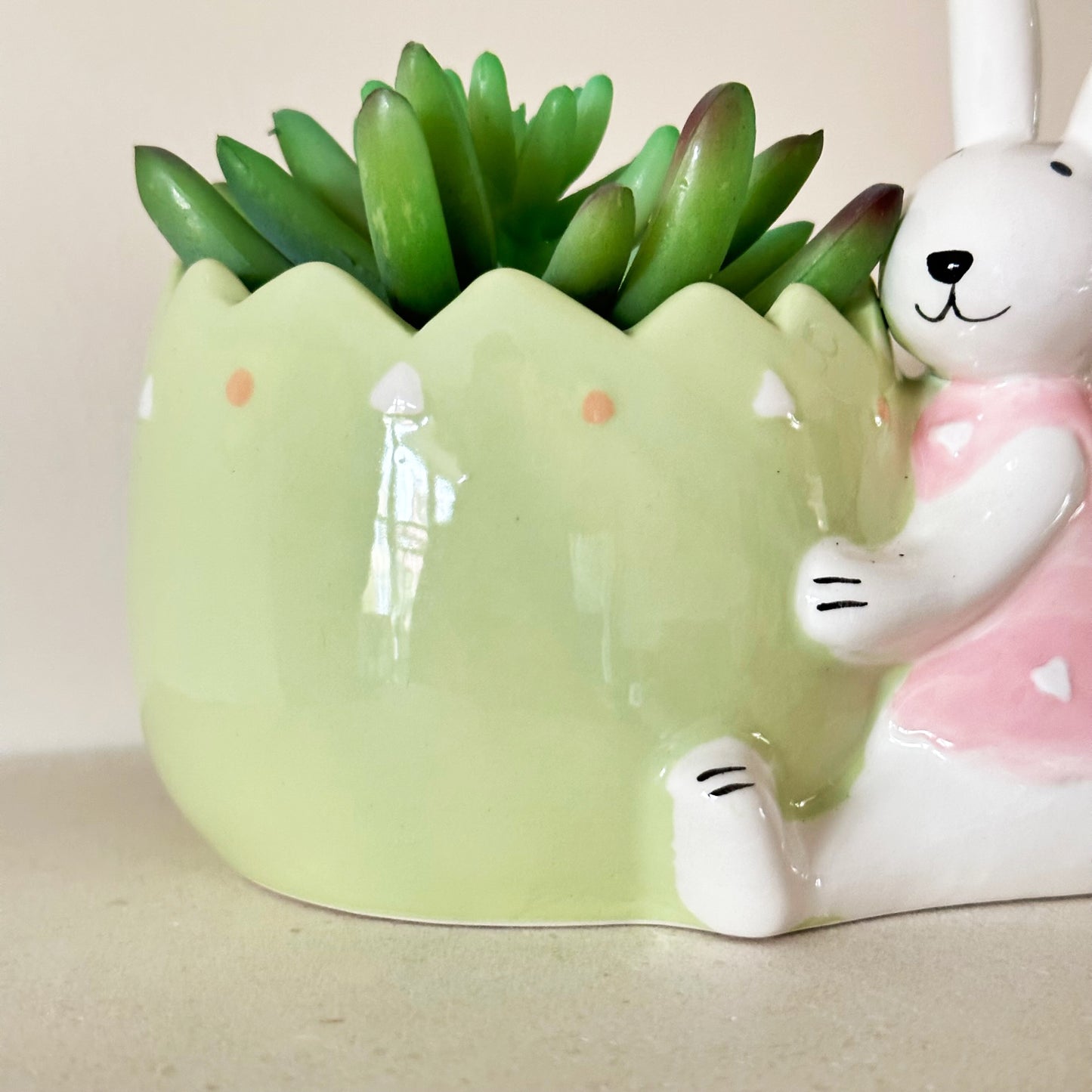 Easter Rabbit Succulent Pot