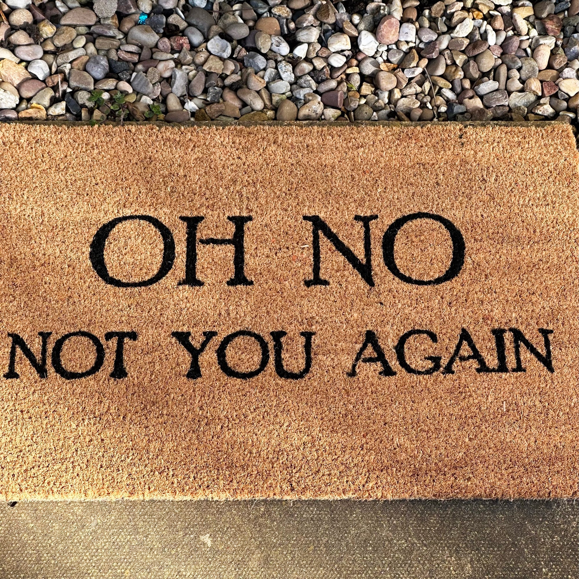 Oh No Not You Again Coir Door Mat