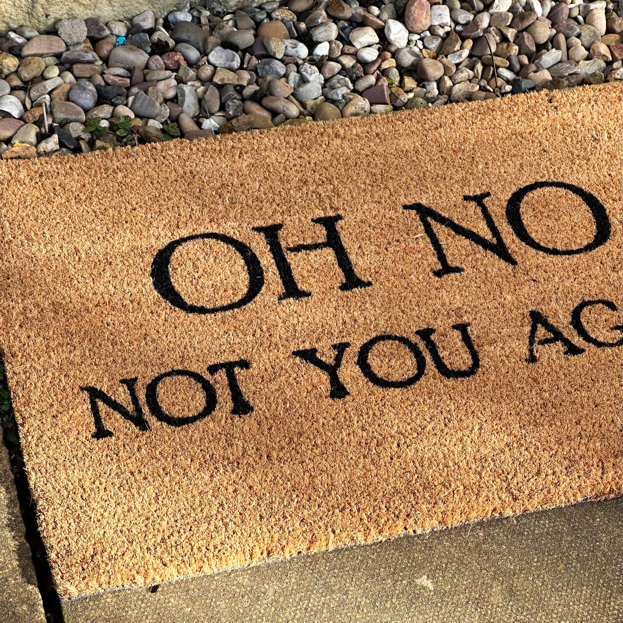 Oh No Not You Again Coir Door Mat