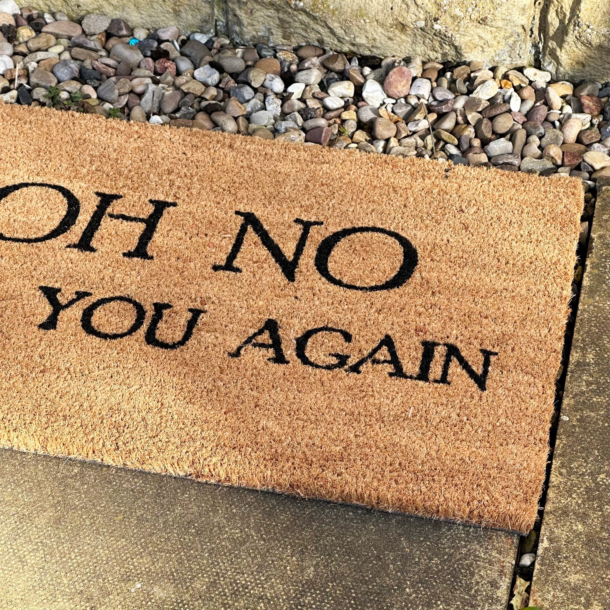 Oh No Not You Again Coir Door Mat