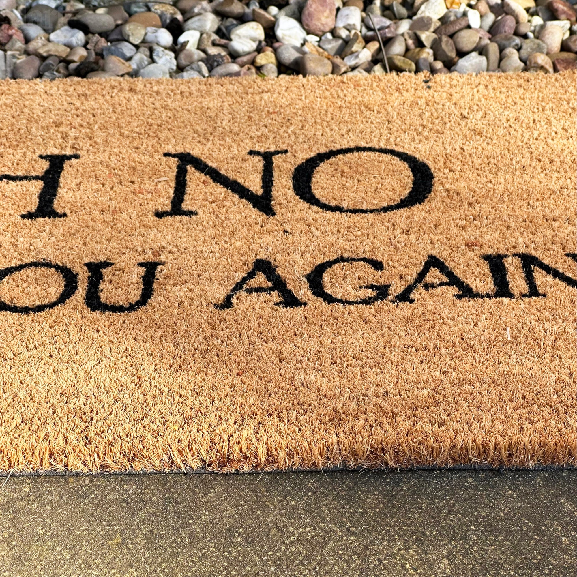 Oh No Not You Again Coir Door Mat