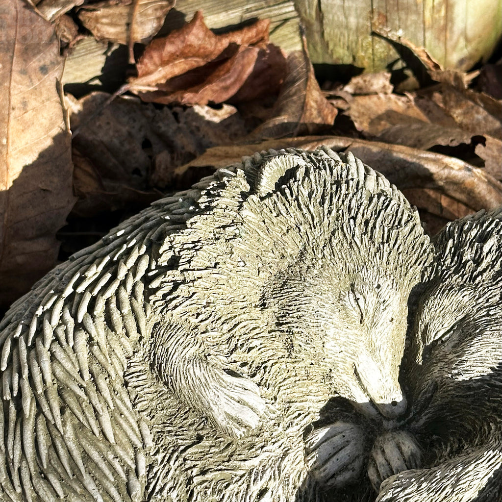 Stone Cuddling Love Hedgehogs Sculpture
