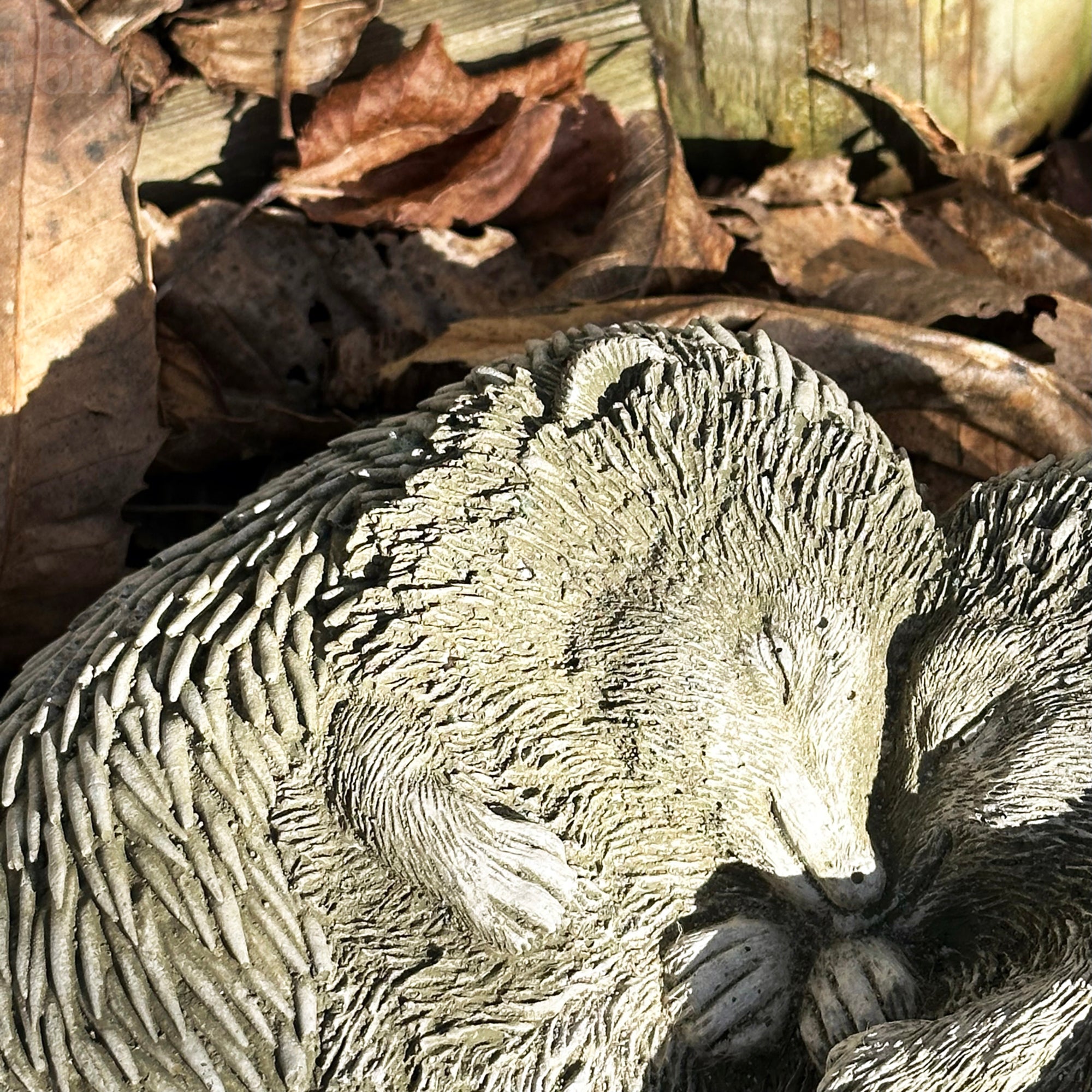 Stone Cuddling Love Hedgehogs Sculpture
