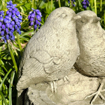 Steinrotkehlchen auf Baumstamm-Vogelhäuschen