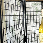 Industrielle Weinwandeinheit