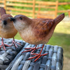 Resin Wren Pair Figurines