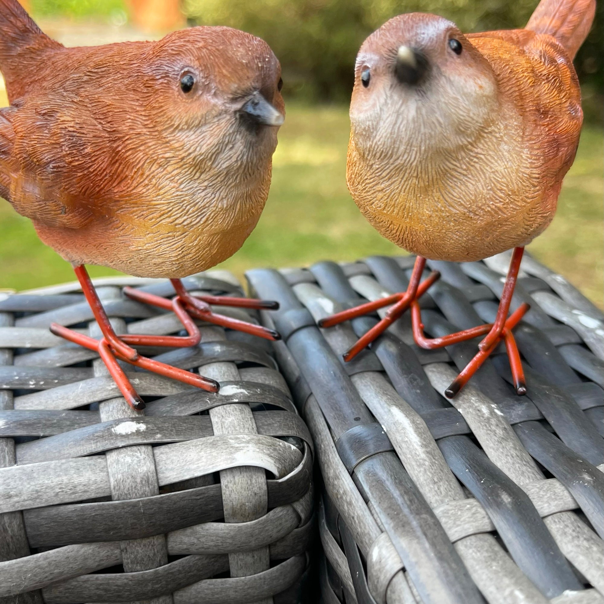 Resin Wren Pair Figurines