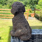 Goldfarbenes Labradoodle-Hundeornament aus Kunstharz