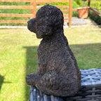 Goldene Cockapoo-Hundefigur