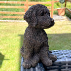 Goldene Cockapoo-Hundefigur