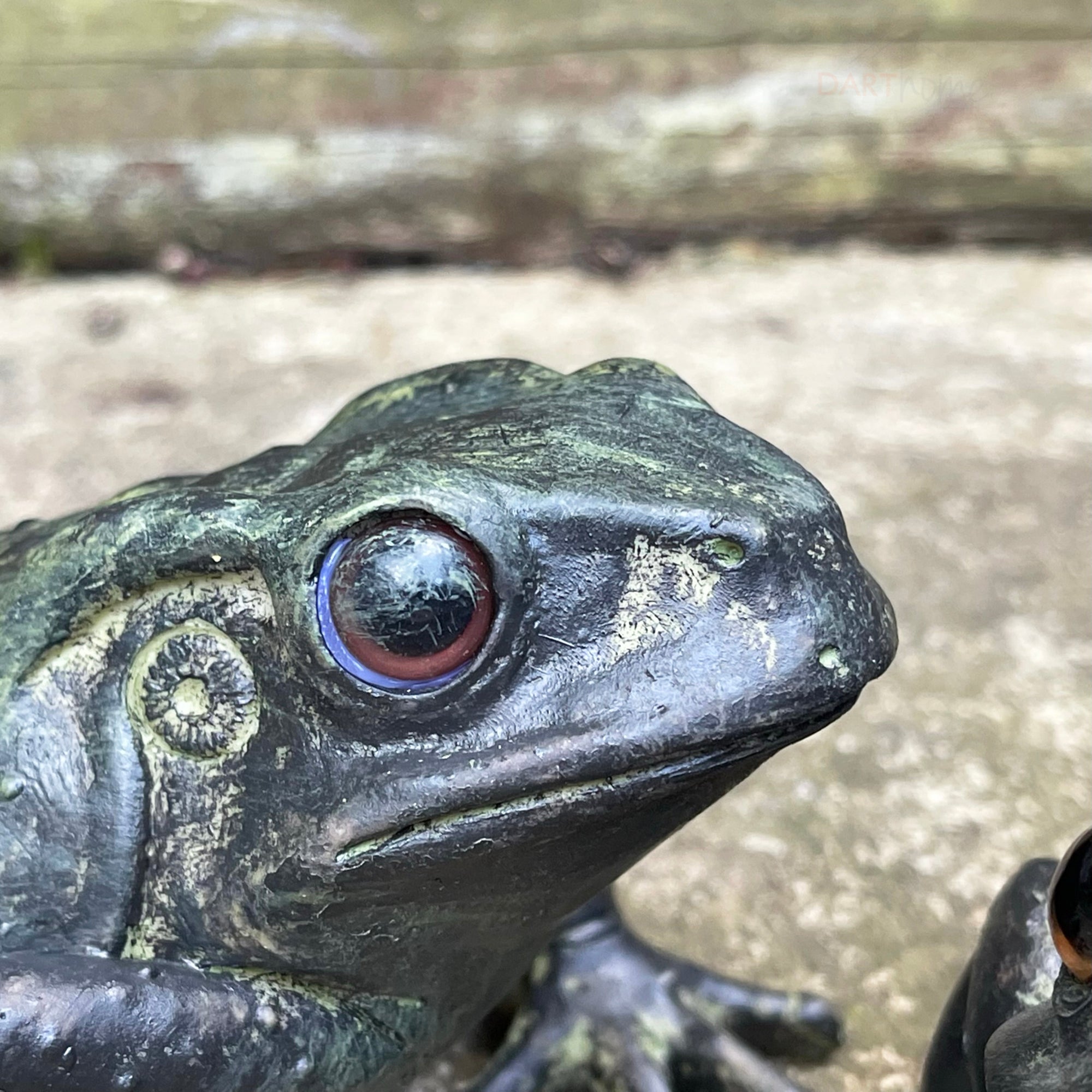Set mit 2 grünen Froschornamenten