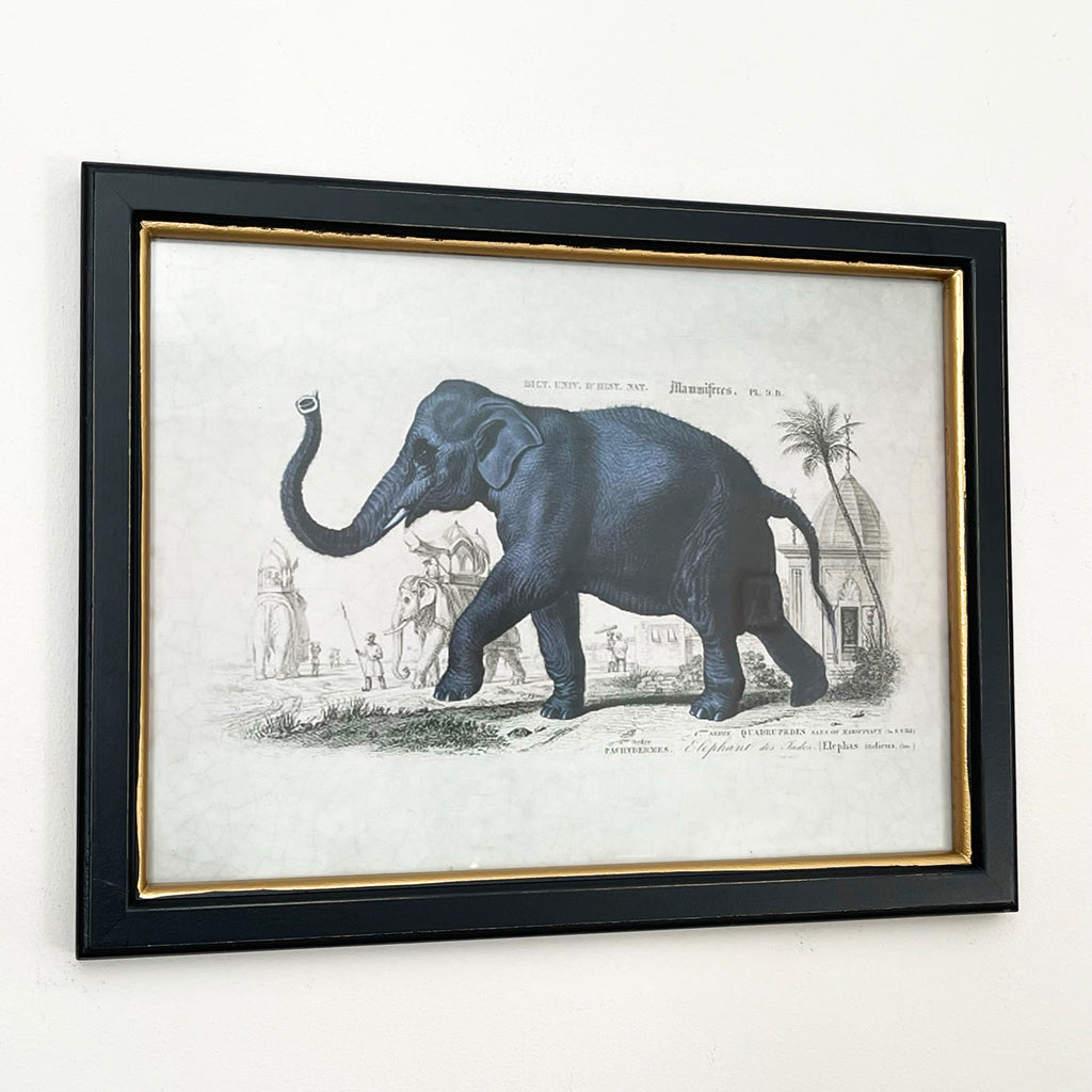 Vintage Elephant Framed Wall Art
