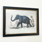 Vintage Elephant Framed Wall Art