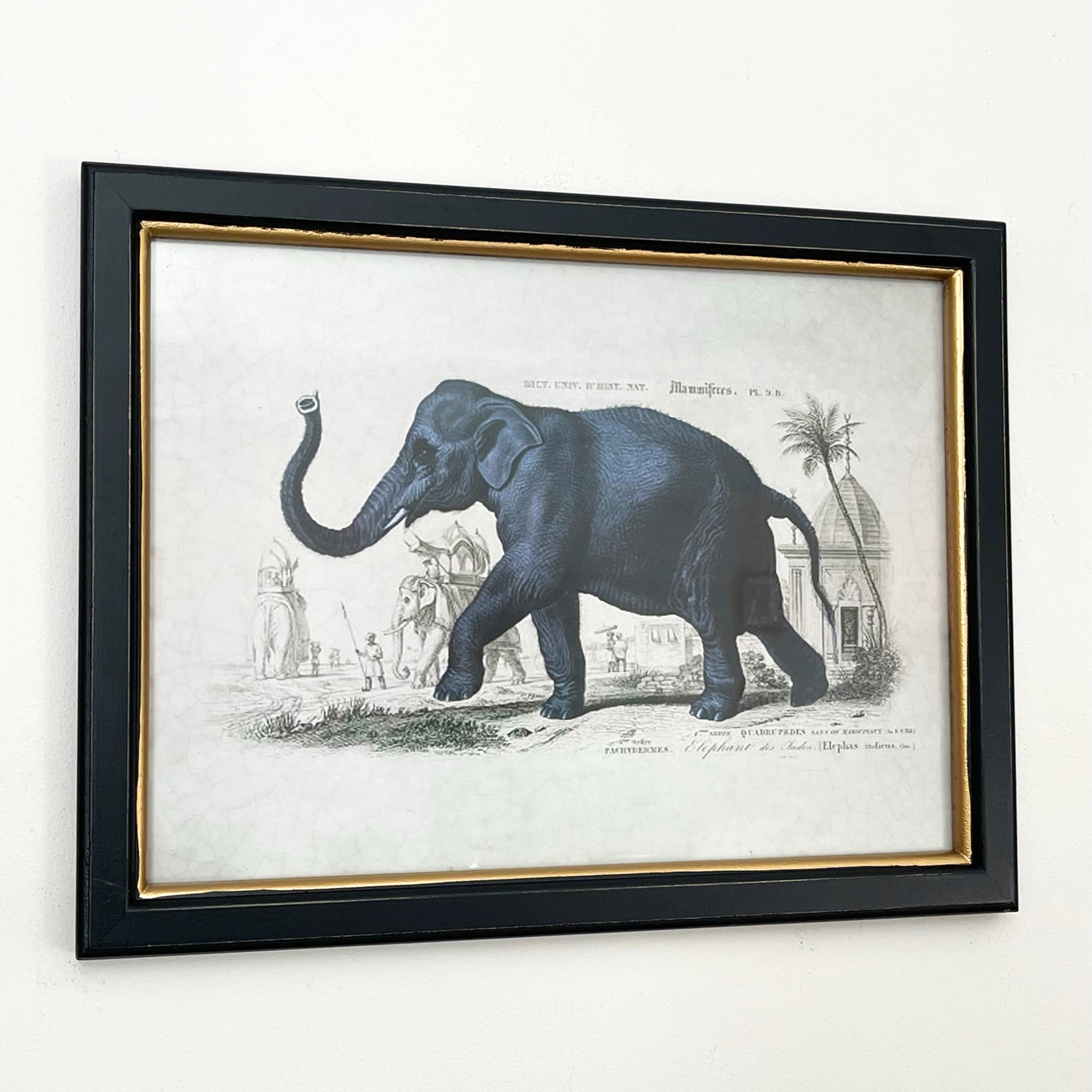 Vintage Elephant Framed Wall Art