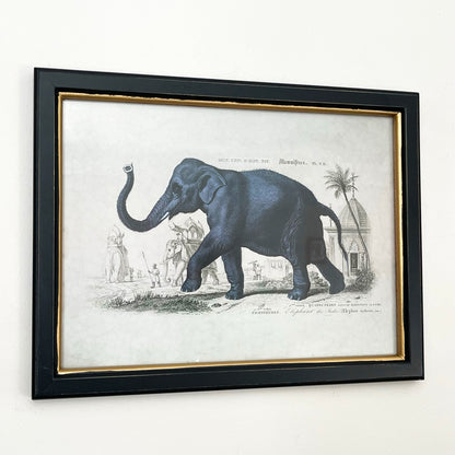 Vintage Elefant gerahmte Wandkunst