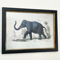 Vintage Elephant Framed Wall Art