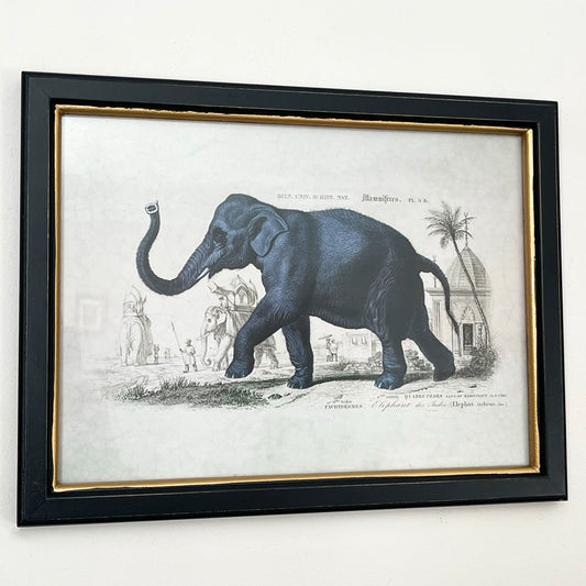 Vintage Elephant Framed Wall Art