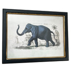 Vintage Elephant Framed Wall Art
