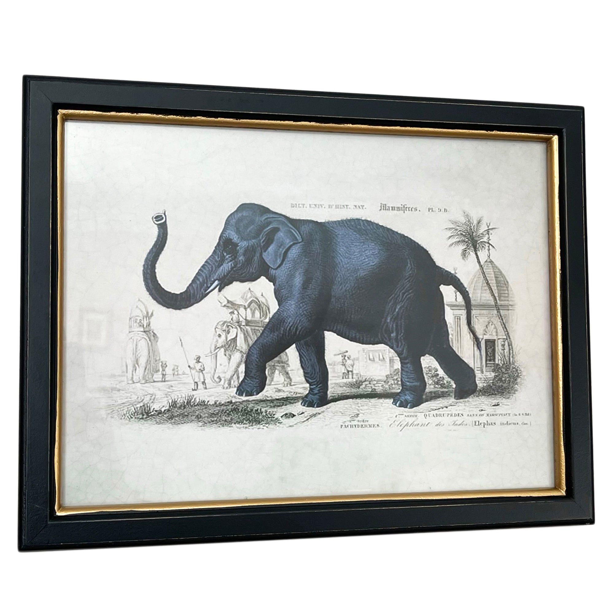 Vintage Elephant Framed Wall Art