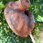 Hanging Sloth Garden Ornament 60cm