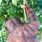 Hanging Sloth Garden Ornament 60cm