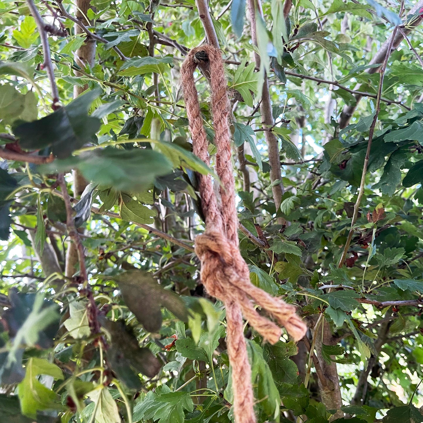 Hanging Sloth Garden Ornament 60cm