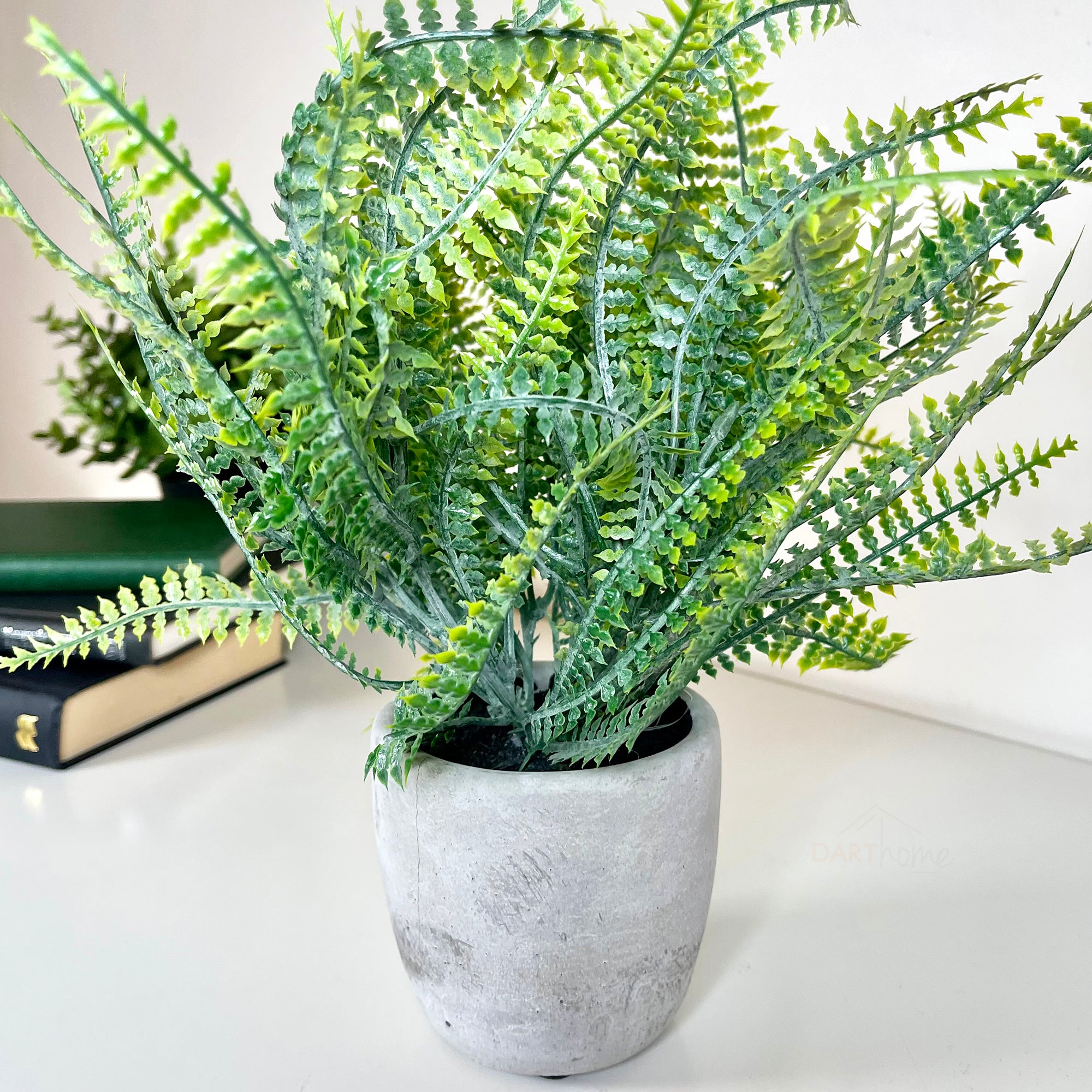 Artificial Spider Fern Plant In Pot – Darthome Limited