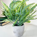 Artificial Spider Fern Plant In Pot