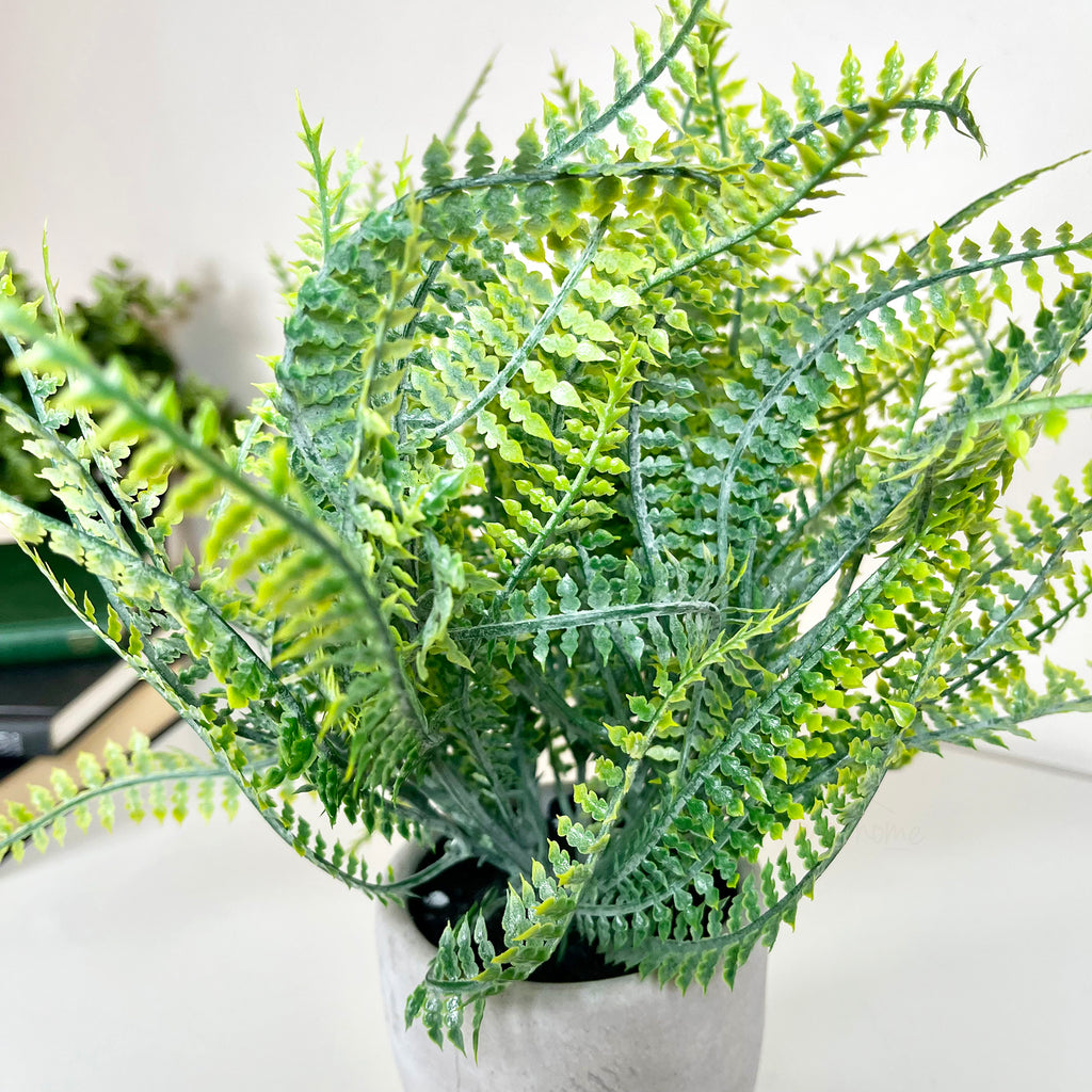Artificial Spider Fern Plant In Pot