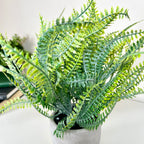 Artificial Spider Fern Plant In Pot