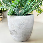 Artificial Spider Fern Plant In Pot
