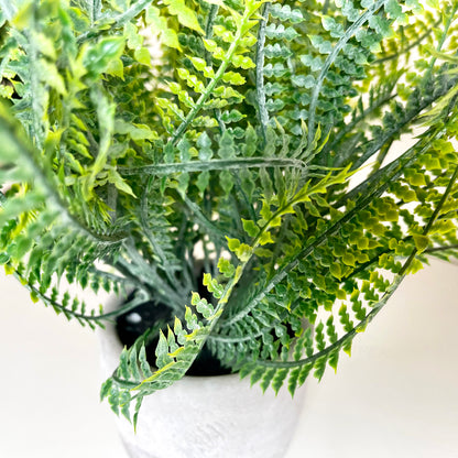 Artificial Spider Fern Plant In Pot