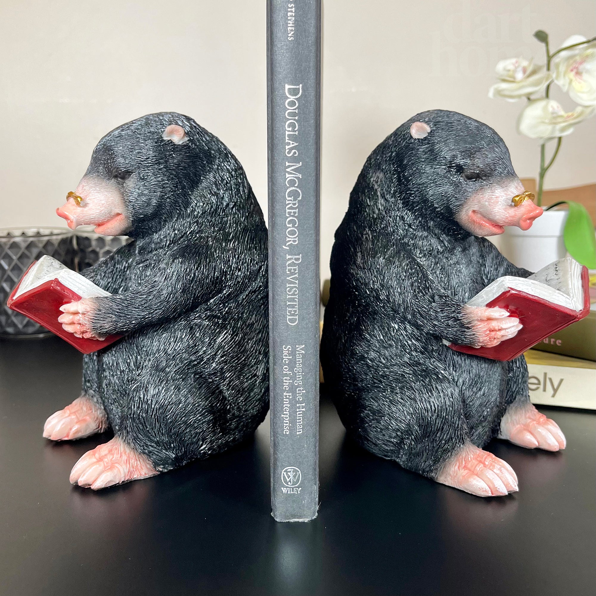 Black Reading Mole Bookends