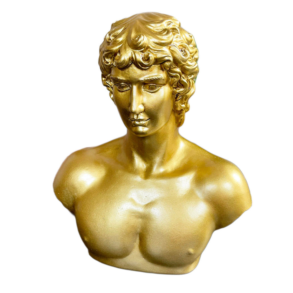 Gold Michelangelo David Bust Statue B