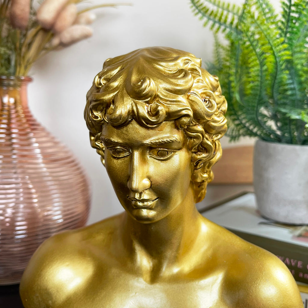 Gold Michelangelo David Bust Statue B