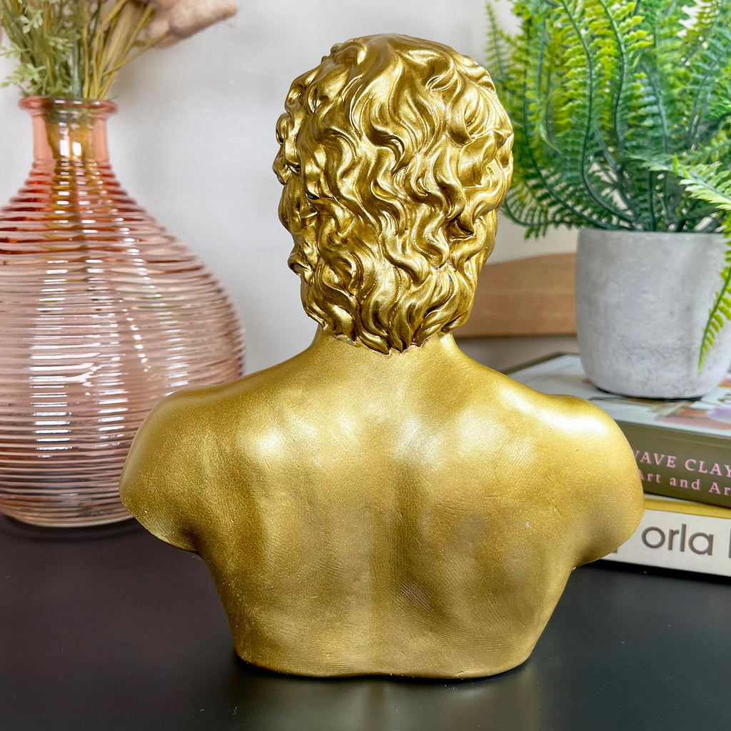 Gold Michelangelo David Bust Statue B