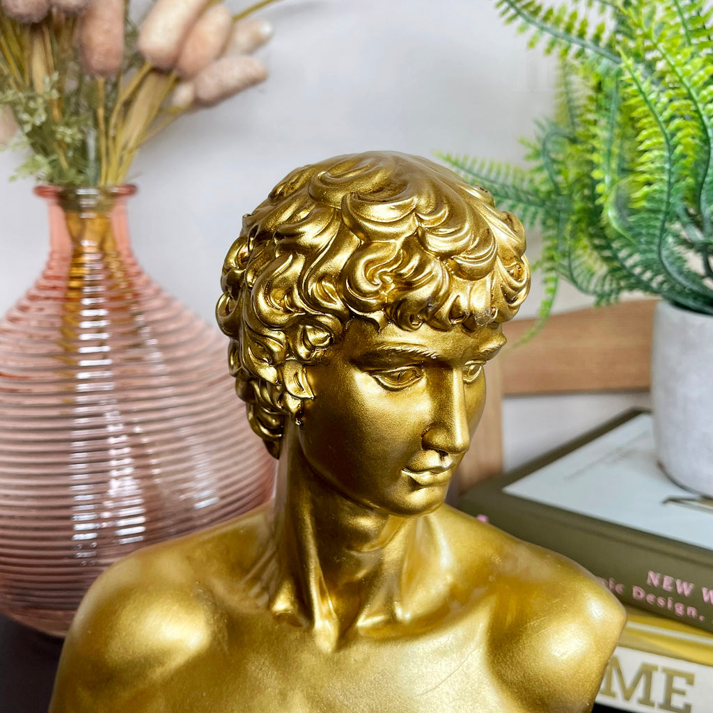Gold Michelangelo David Bust Statue A