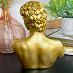 Gold Michelangelo David Bust Statue A