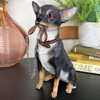 Chihuahua-Hund mit Bleiverzierung