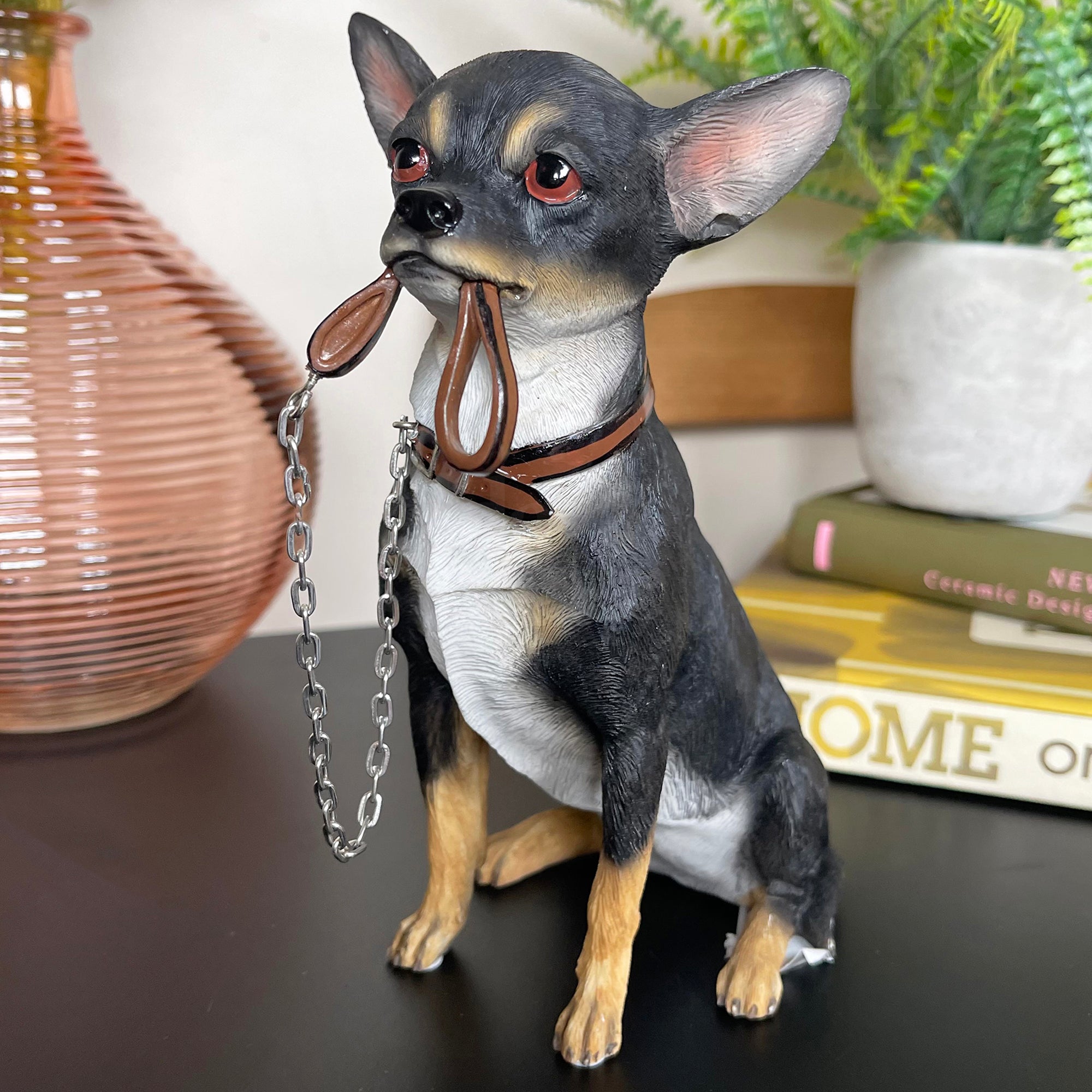 Chihuahua-Hund mit Bleiverzierung