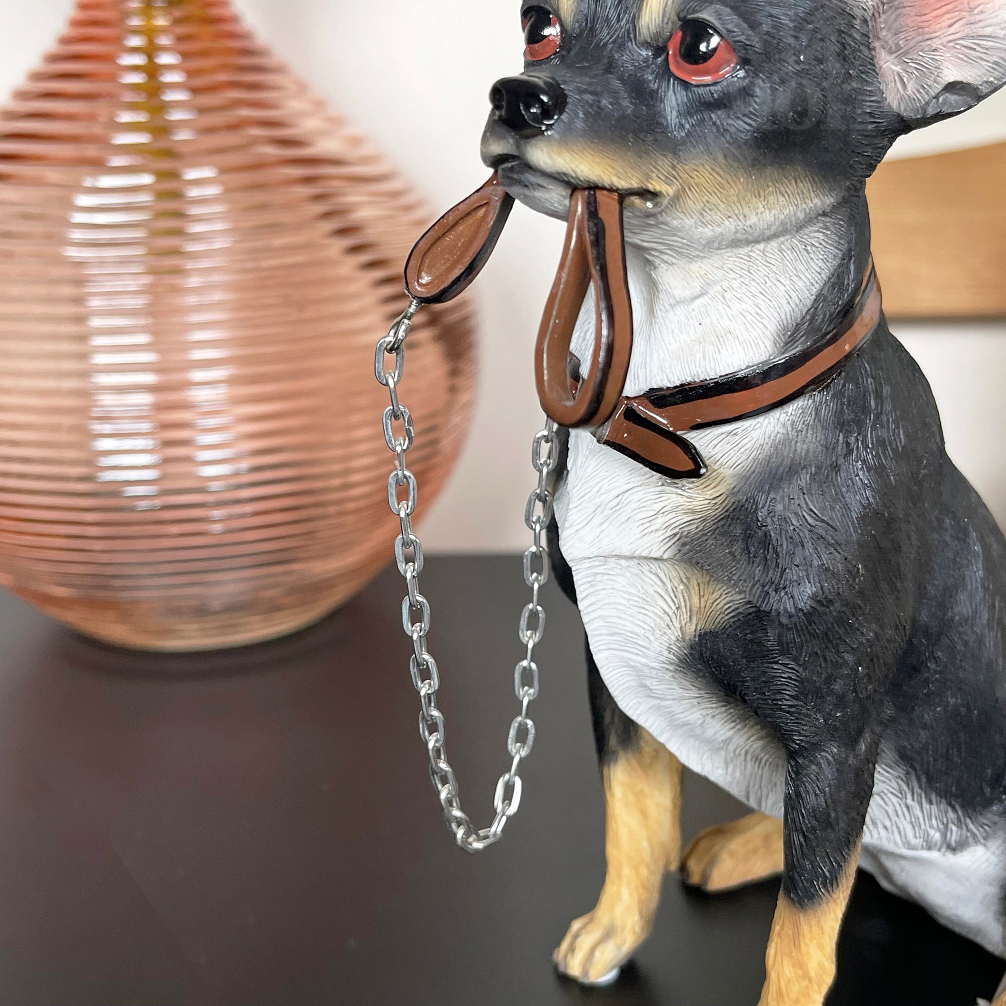 Chihuahua-Hund mit Bleiverzierung
