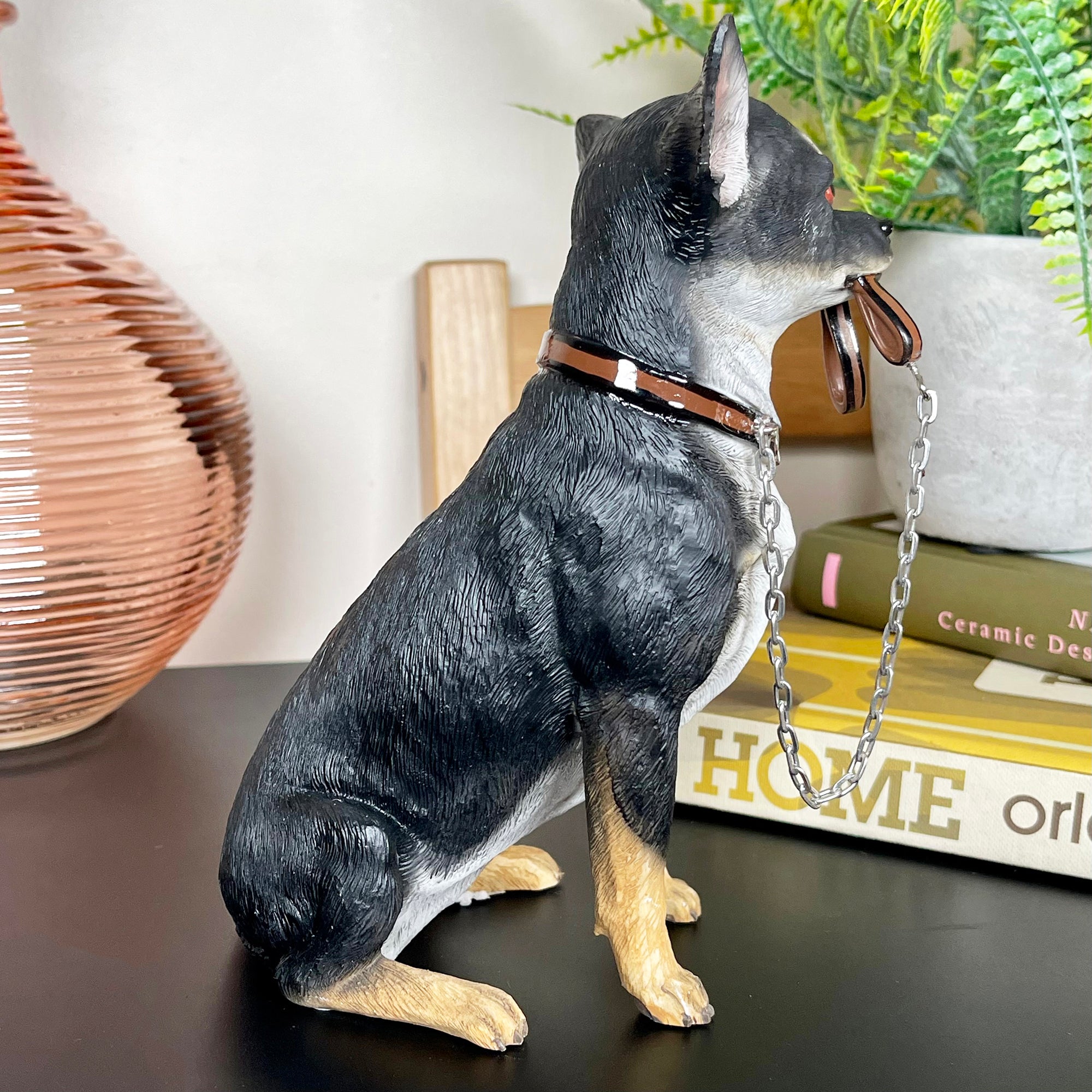 Chihuahua-Hund mit Bleiverzierung