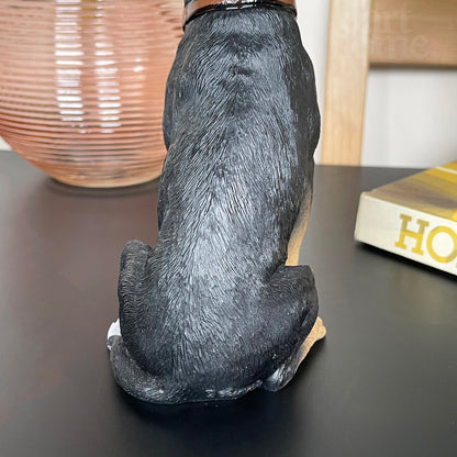 Chihuahua-Hund mit Bleiverzierung