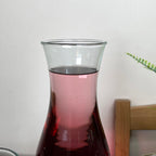 5 Piece Carafe Set With 4 Hiball Glasses